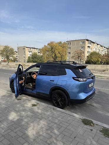 всё родное: Weltmeister W6, 2022 г., 54000 км — 7