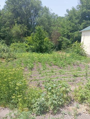 продаю дом сокулукский район: Үй, 80 кв. м, 4 бөлмө, Менчик ээси, Косметикалык оңдоо — 5