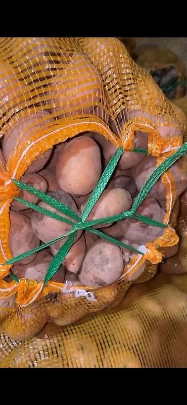 Картошка Джелли