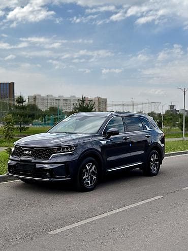 6: Kia Sorento: 2022 г., 1.6 л, Автомат, Гибрид, Кроссовер — 1