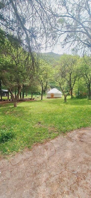 солнечные фанари: Аренда юрты, Каркас Металлический, 55 баш, Посуда — 2
