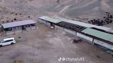 Майлуу -Сайга жакын жайгашкан кашар сатылат. бетон.темир. кирпич менен — 6