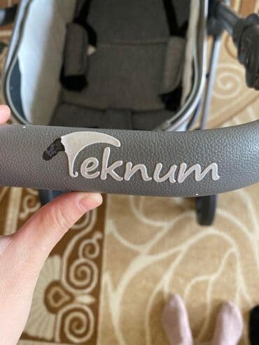 где можно купить тигра: Коляска — 4