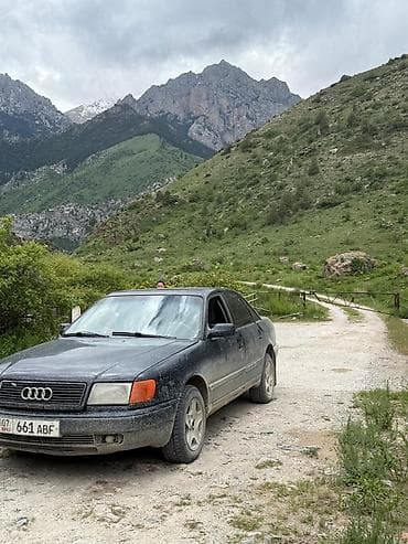 купить мерс с: Audi 100: 1992 г., 2.3 л, Механика, Бензин, Седан — 5