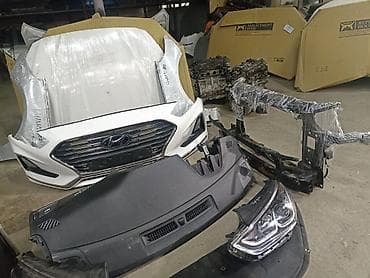 самурай купить: Соната нурайс целый морда 2018-19 — 4