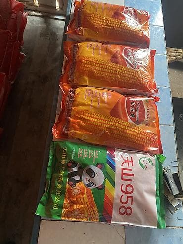 купить сетчатые мешки для картошки: Семена кукурузы «Тяньшань №5» (гибрид) - Происхождение: из Китая - — 6