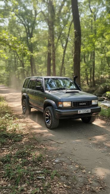 Isuzu Bighorn: 1995 г., 3.1 л, Автомат, Дизель, Внедорожник