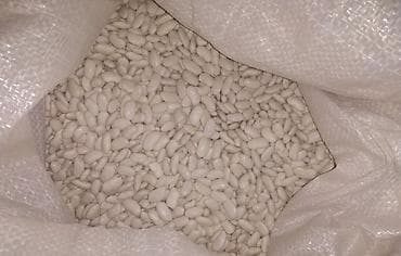 плед бишкек: Продаю фасоль. Лопатка белая . В наличии 10 тон. Находится в городе — 1