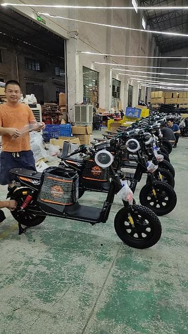 format velosiped: Электровелосипед — 5