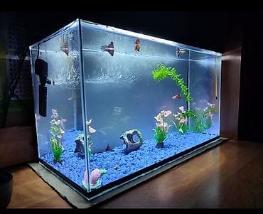 купить амура: Г. Кант
Высота 30 см
Дина 44 см
Ширина 21 см — 1