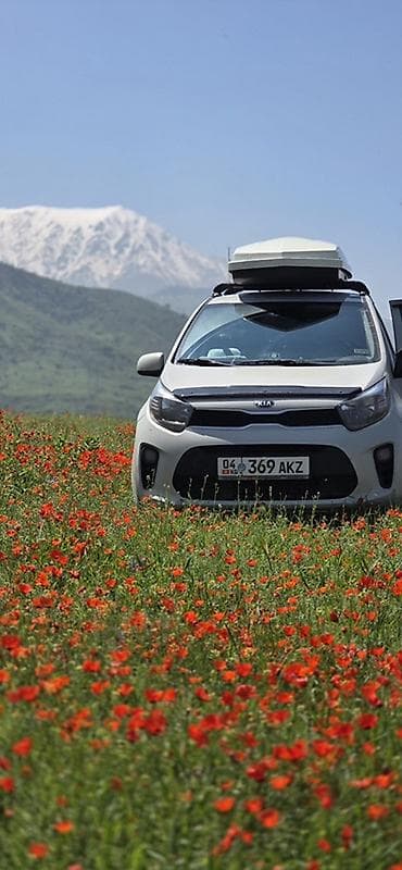 byd plus: Kia Morning: 2019 г., 1 л, Автомат, Бензин, Универсал — 6