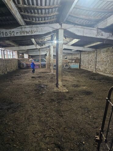 купить дом в деревне лнр недорого: Дача, 30000 кв. м, 2 бөлмө, Менчик ээси — 7