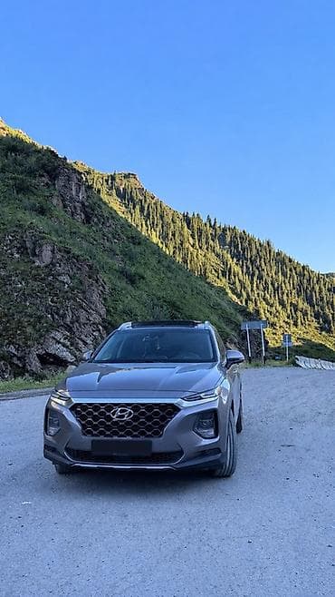 bruce r2: Hyundai Santa Fe: 2019 г., Автомат, Кроссовер — 1