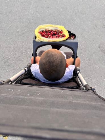 детская коляска в аренду: Коляска, цвет - Черный, Б/у — 10