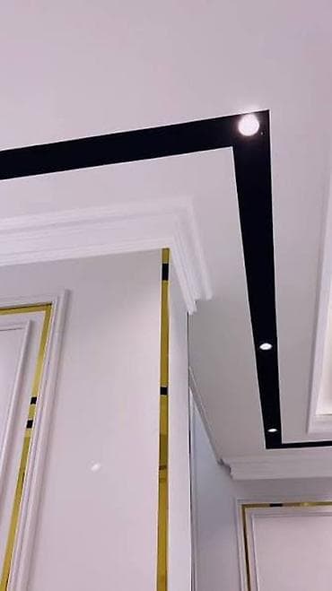 straydogs kg: Больше 6 лет опыта — 5