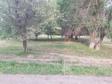 продается орошаемая земля в жайылско районе алтыр будёновка 5 40 гектар цена договорная с довой проблем нету оформление сразу: 43 соток, Для бизнеса, Красная книга — 1