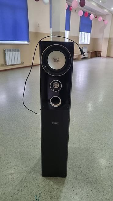 samsung frontier: Напольная активная акустическая система (моноколонна) - Тип: активная — 5