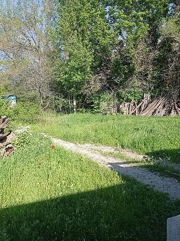 дом беловодский: Дом, 85 м², 5 комнат, Собственник, Старый ремонт — 7