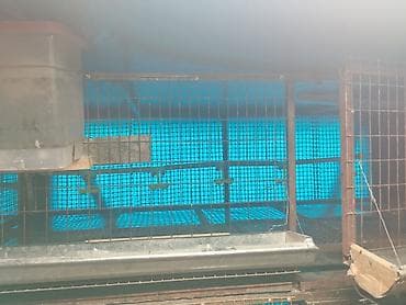 клетка для перепел: Трëхярусная клетка для содержания перепёлок/цыплят - Конструкция — 6