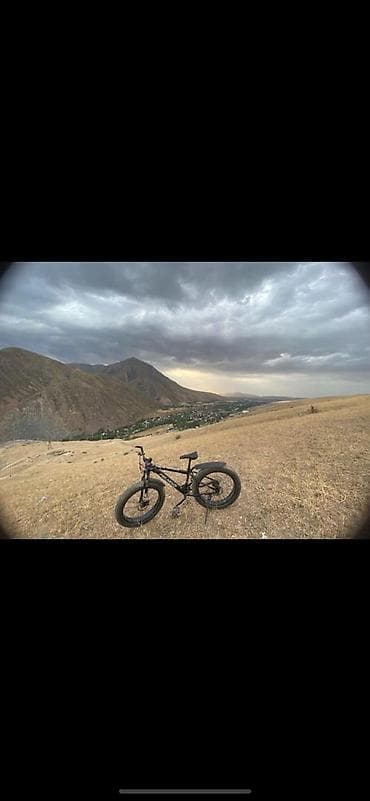 CD, DVD диски: Горный велосипед, Сталь — 4