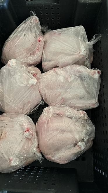Продукты питания: ГРИЛЬ ҮЧҮН ДАЯРДАЛГАН ЖАҢЫ СОЮЛГАН БРОЙЛЕР ТООК САТЫЛАТ САЛМАКТАРЫ — 2