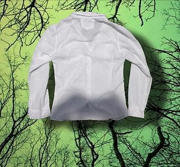 Эркектер кийими: Эркектердин көйнөгү, S, M, Lacoste, Жаңы, түсү - Ак — 2