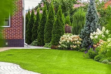 Газон под ключь. Красивый газон и ухоженный участок без лишних