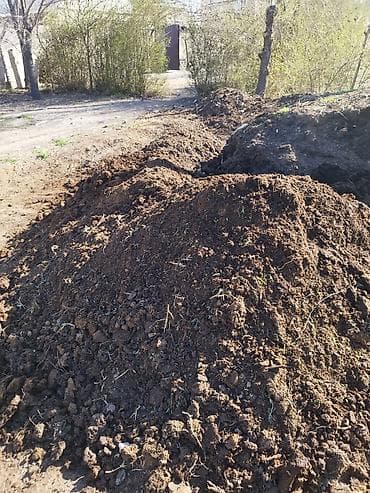 зерно кукурузы: Плодородная земля/перегной для огорода и сада. Описание: - Темная — 1