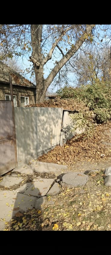 рубим дрова: Отдам даром дерево грецкий орех, самовывоз, ствол можно продать, ветки — 1