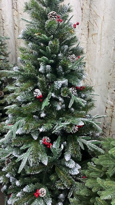 семена маями: Елка пышная 1,20 метр-5500 сом 1,50 м-6500 с 1,80 м-9500 с 2,40 — 1