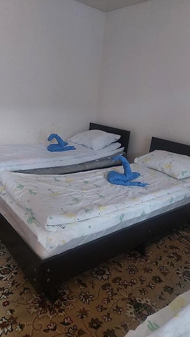 centr park: Гостевой дом на Иссык-Куле, Жаннат, Чолпон-Ата — 2
