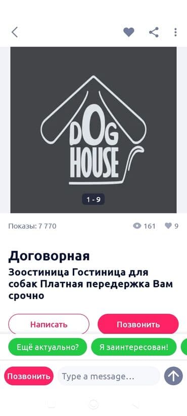 Организация мероприятий: ?остиница DOG HOUSE — платная передержка собак - Круглосуточный — 1