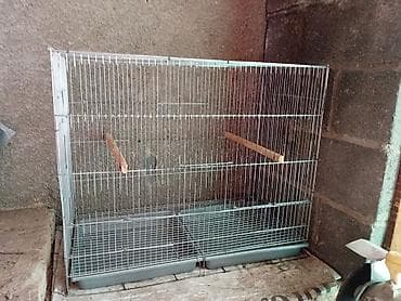 кекилик алам: Сетка для птиц попугай амадин 2500 70/60/36 — 8