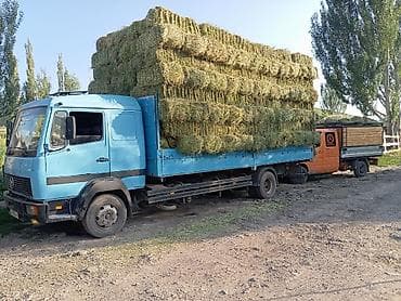 мтз запчасти: Mercedes-Benz : 1997 г., 6 л, Механика, Дизель, Универсал — 5