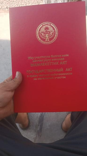 23: 10 соток, Красная книга — 2