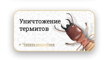 Клининговые услуги: Дезинфекция, дезинсекция, | Блохи, Вирусы, микробы, Обработка деревьев, | Квартиры, Дворы, Офисы — 1