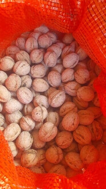 Үтүктөөчү такталар: Грецкий орех

-Есть очищенные и не очищенные. цена договорная — 1