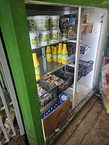 Холодильное оборудование: Для молочных продуктов — 1