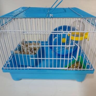 летучая мышь в кыргызстане: Хомячки джунгарские с клеткой комплект — 1