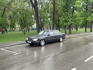 1216 5: Mercedes-Benz W124: 1995 г., 3.2 л, Автомат, Бензин, Седан — 3