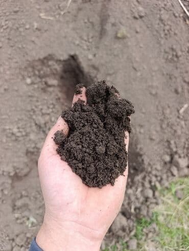 В тоннах, Платная доставка, Самовывоз, Камаз