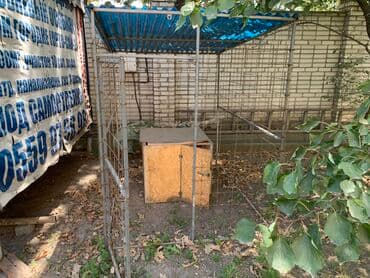 сатам алмашам: Продам вольер, срочно!! — 1