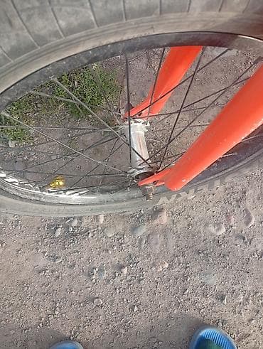 Спорт жана хобби: BMX велосипед — 3