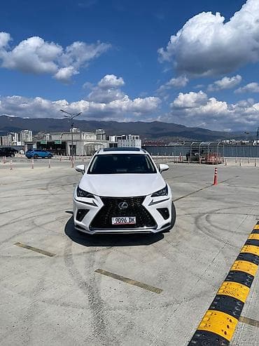 tesla 3: Lexus NX: 2019 г., 2 л, Автомат, Бензин, Кроссовер — 7