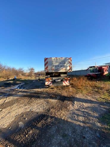 высокий диван: Автокран, Zoomlion, 2008 г. — 1