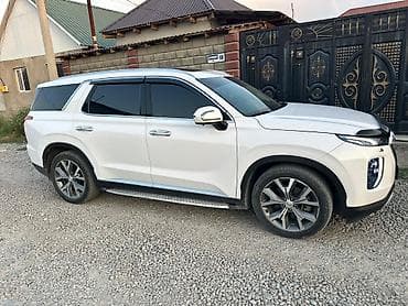 козырьки на авто: Hyundai Palisade: 2020 г., 2.2 л, Дизель, Кроссовер — 8