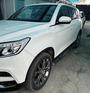 welt master: Ssangyong : 2018 г., 2.2 л, Автомат, Дизель, Внедорожник — 5
