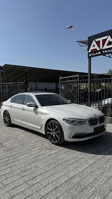 BMW 530: 2019 г., 2 л, Автомат, Бензин, Седан