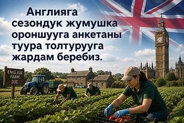 лизинг трактор: Анкетаны туура толтурууга жардам беребиз 🤝 — 1