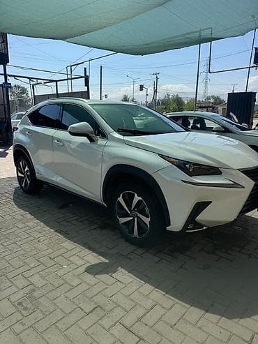 кран машина: Lexus NX: 2020 г., 2.5 л, Автомат, Гибрид, Кроссовер — 3